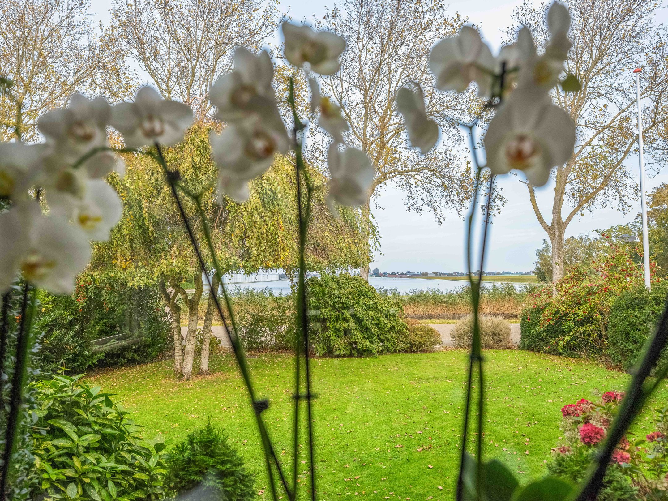 Foto 12 van Molenvaart 415