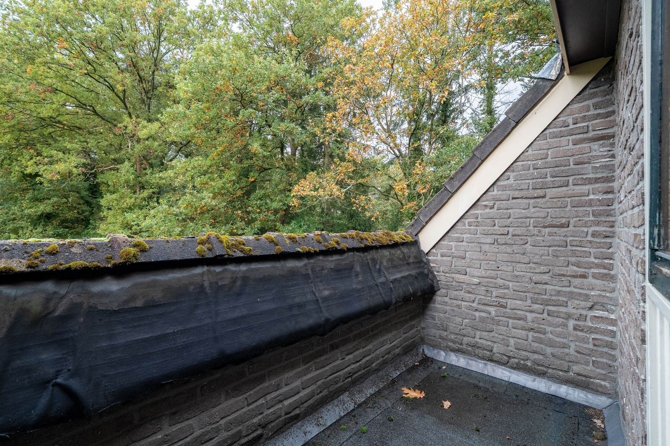 Foto 42 van Annerweg 4