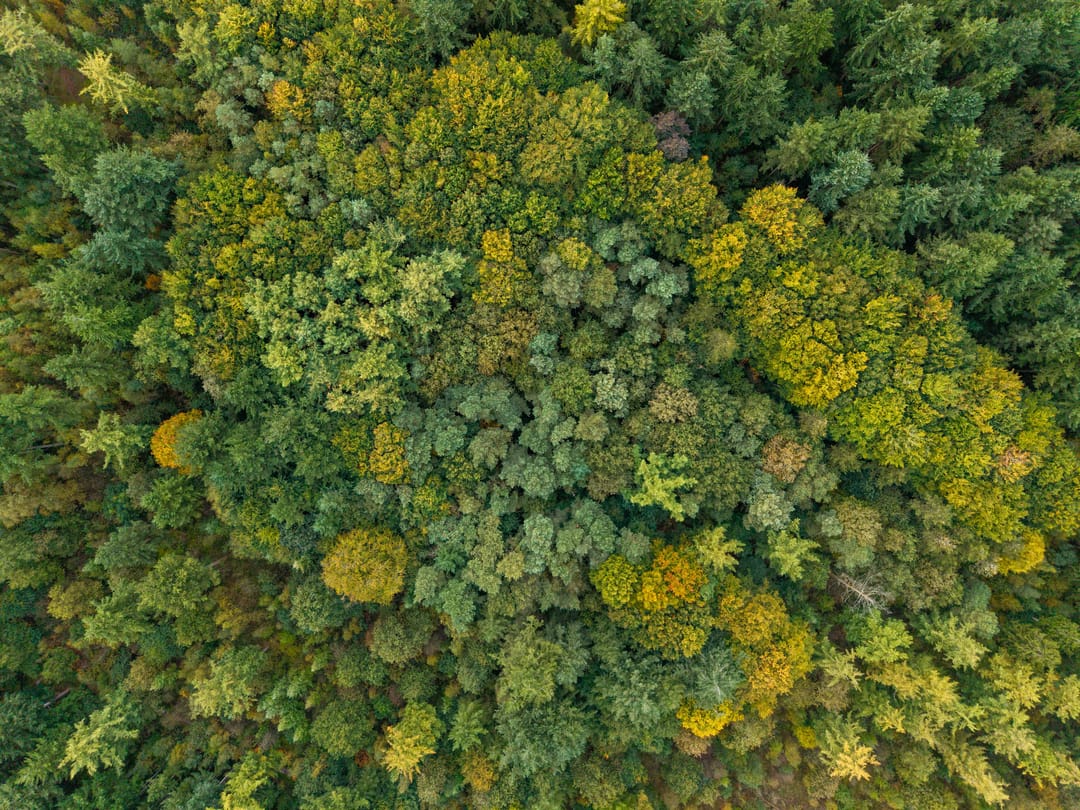 Foto 73 van Annerweg 4