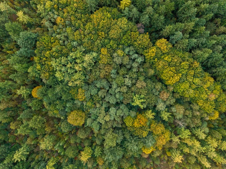 Photo 73 of Annerweg 4