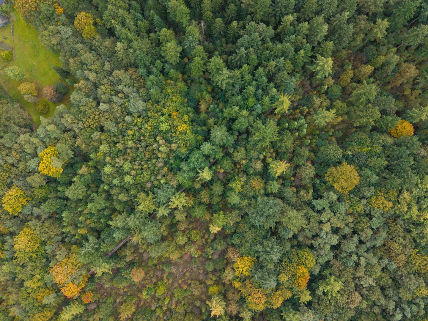 Foto 74 van Annerweg 4