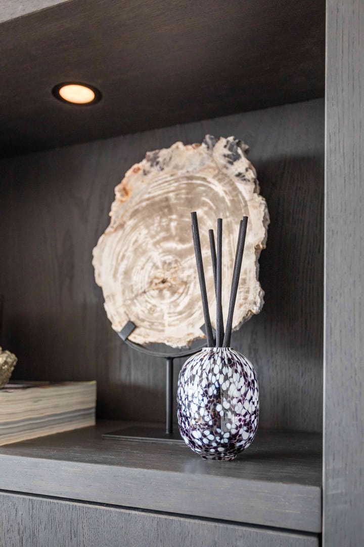 Foto 10 van Zodiakplein 73