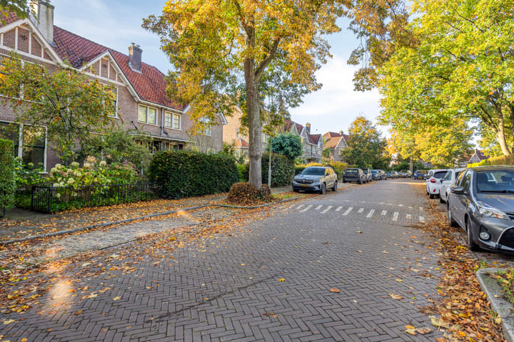 Foto 44 van Pontanuslaan 38