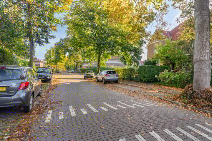 Foto 45 van Pontanuslaan 38