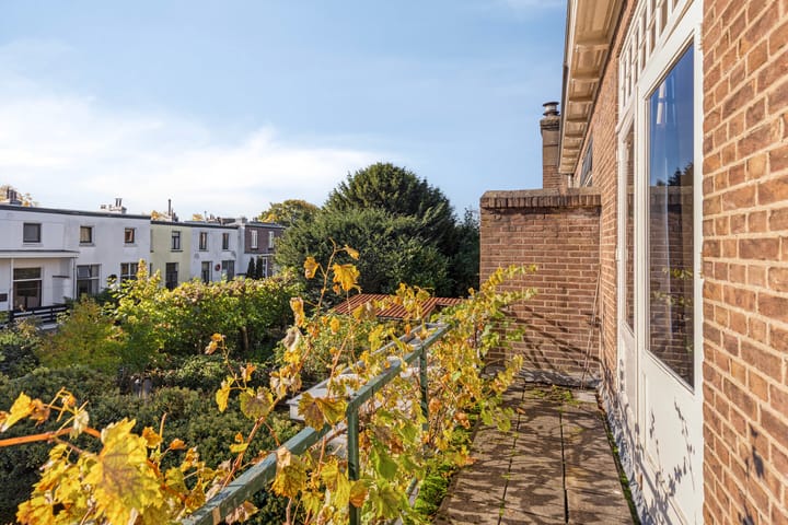 Foto 22 van Pontanuslaan 38