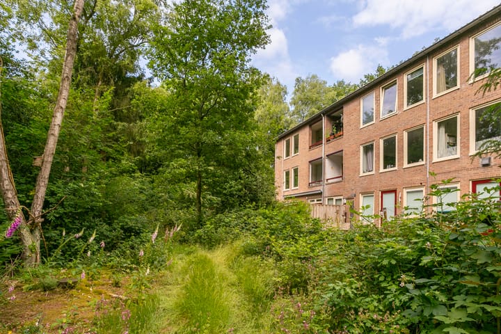 Foto 6 van Arubalaan 64-C