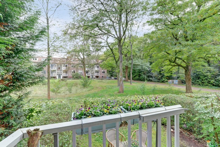 Foto 4 van Mr. Th. Heemskerklaan 49-A