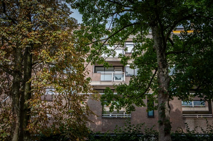 Photo 2 of Gedempte Gracht 521