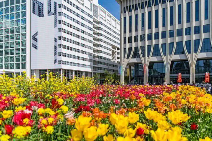 Photo 37 of Gedempte Gracht 521