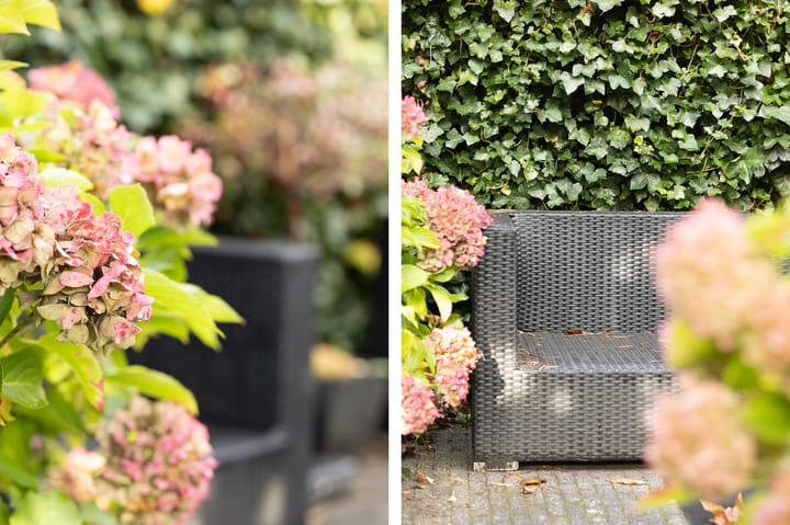 Foto 39 van Eggestraat 9