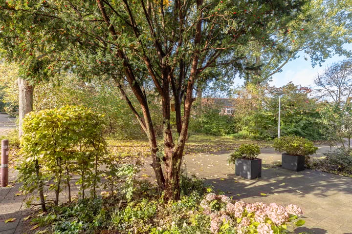 Foto 41 van Eggestraat 9