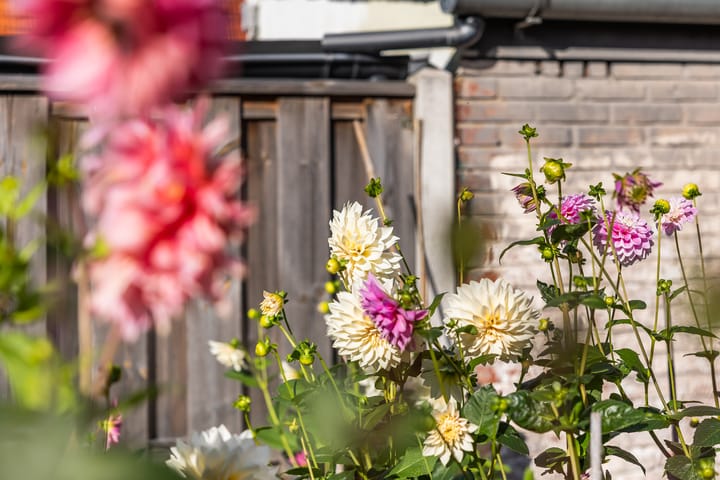 Foto 26 van Kraaijenbergstraat 7