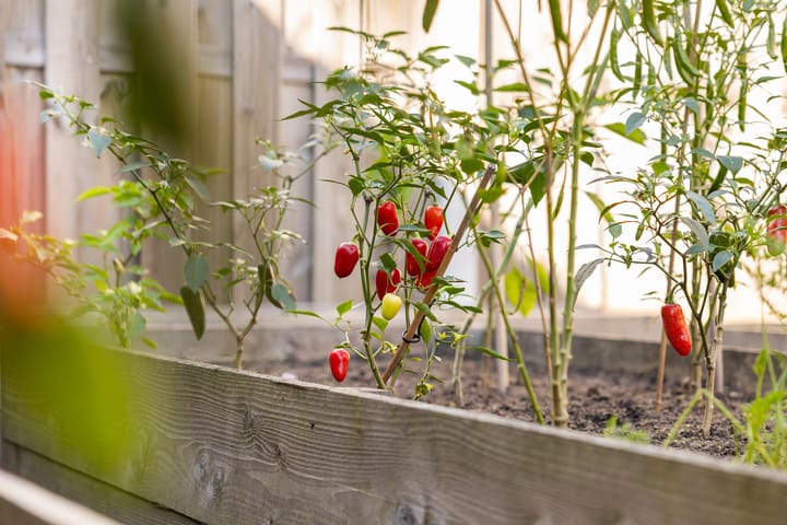 Foto 28 van Kraaijenbergstraat 7