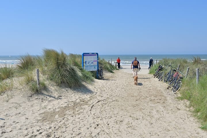 Photo 52 of Vlierboomstraat 463