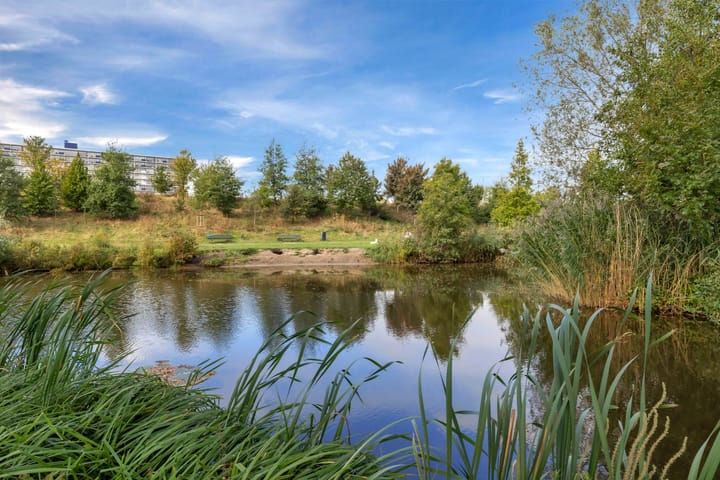 Foto 38 van Smetanalaan 2