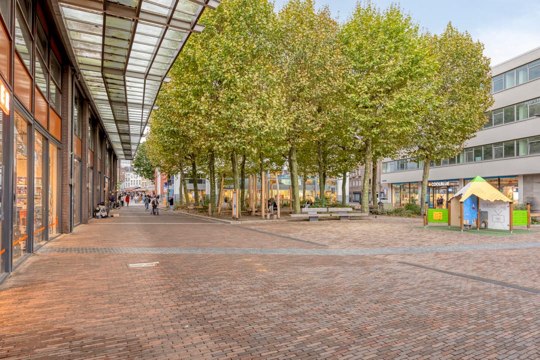 Foto 31 van Scheidingstraat 27