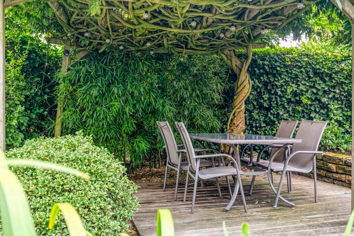 Photo 36 of Mangoberg 1