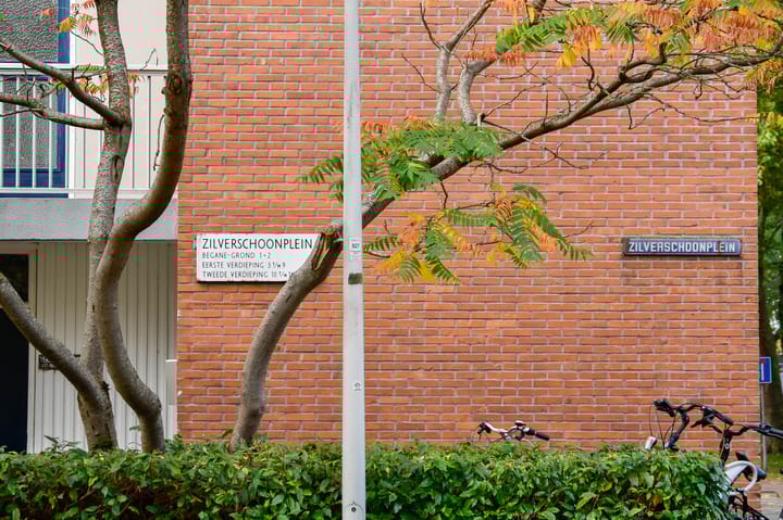 Photo 29 of Zilverschoonplein 16