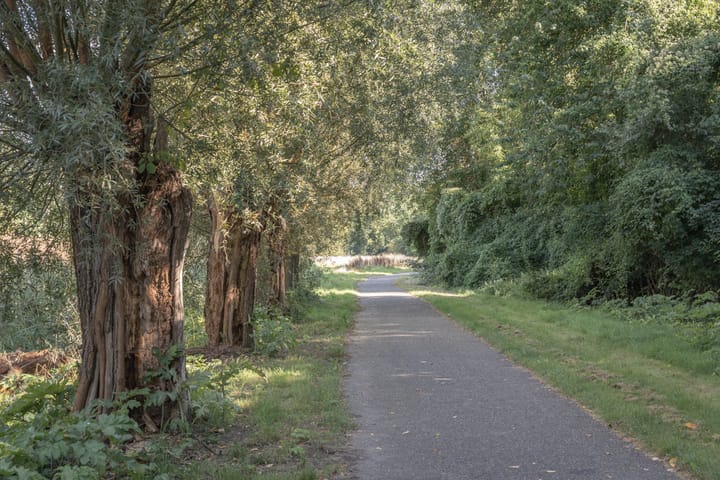 Foto 64 van Klavergriend 19