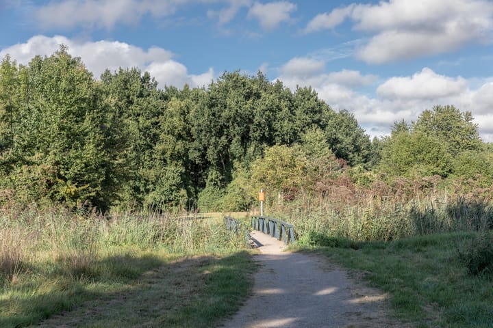 Foto 68 van Klavergriend 19