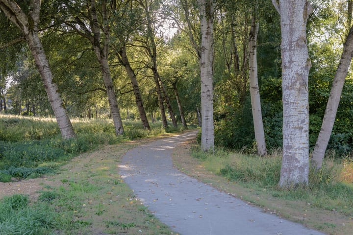 Foto 72 van Klavergriend 19