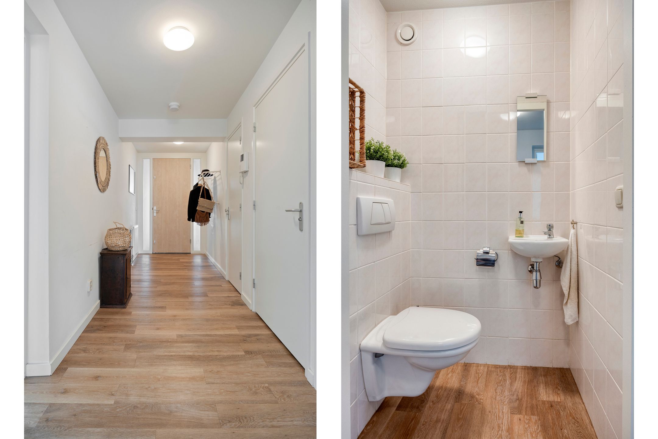 Foto 6 van Scheidingstraat 27