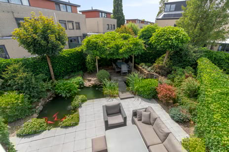 undefined main image