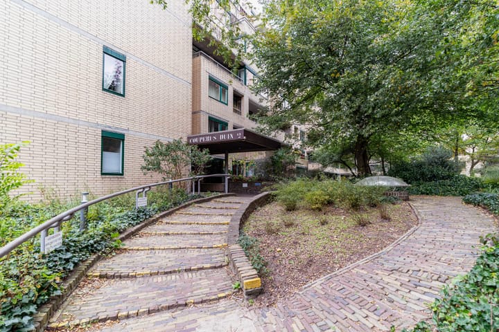 Photo 6 of Burgemeester Patijnlaan 544