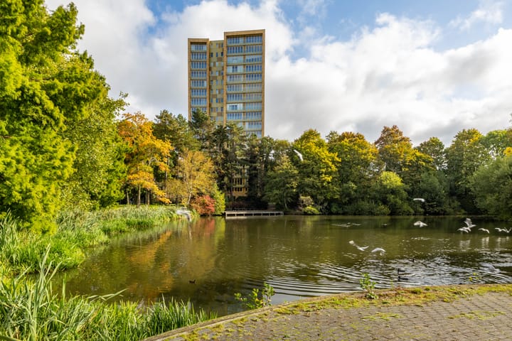 Foto 31 van Berkelstraat 55