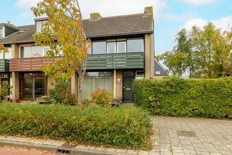 undefined main image