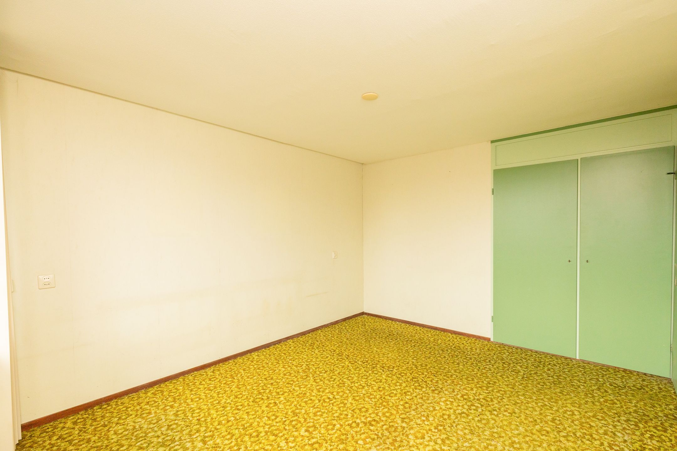 Foto 30 van Reigerlaan 16