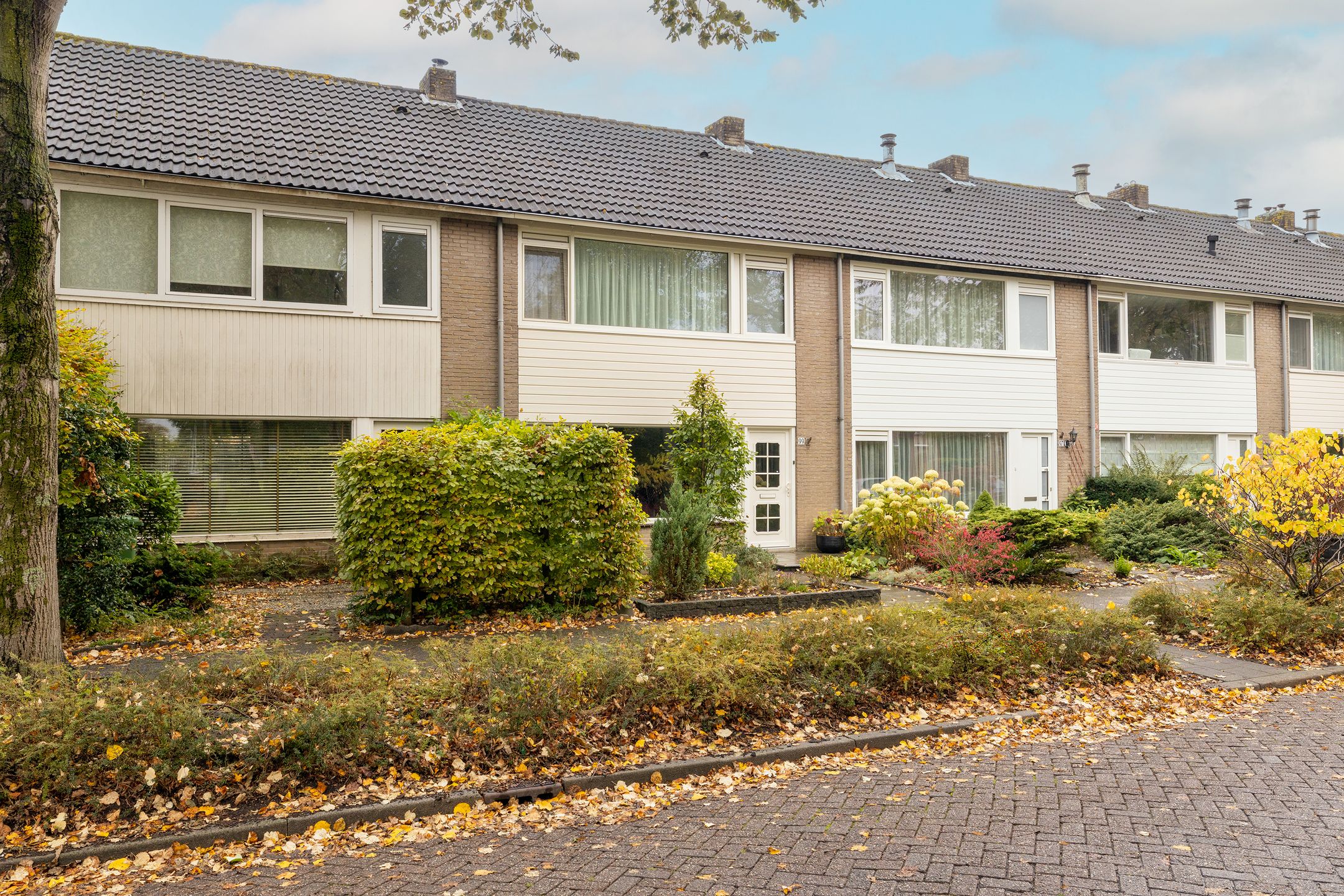 Foto 54 van Guldeland 99