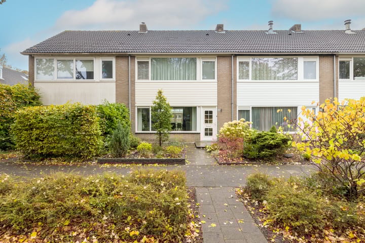 Foto 55 van Guldeland 99