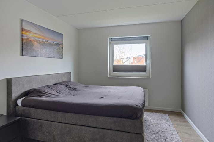 Photo 12 of Vuurvlinder 16