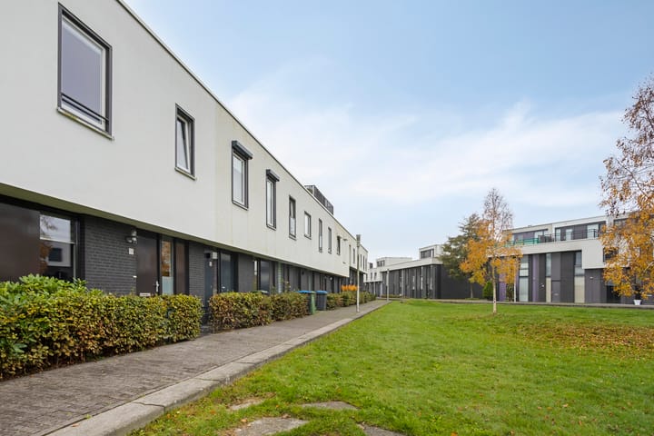 Photo 20 of Vuurvlinder 16