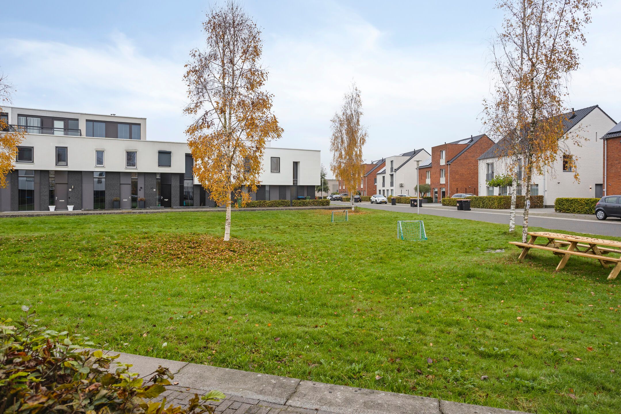 Foto 21 van Vuurvlinder 16