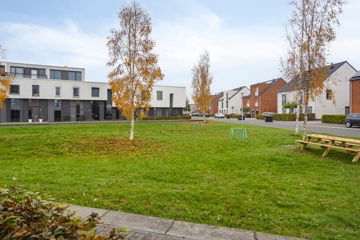 Photo 21 of Vuurvlinder 16