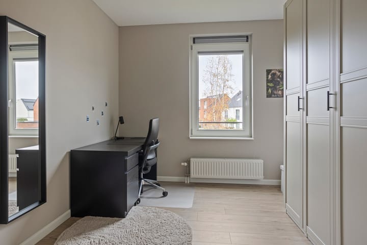 Photo 18 of Vuurvlinder 16