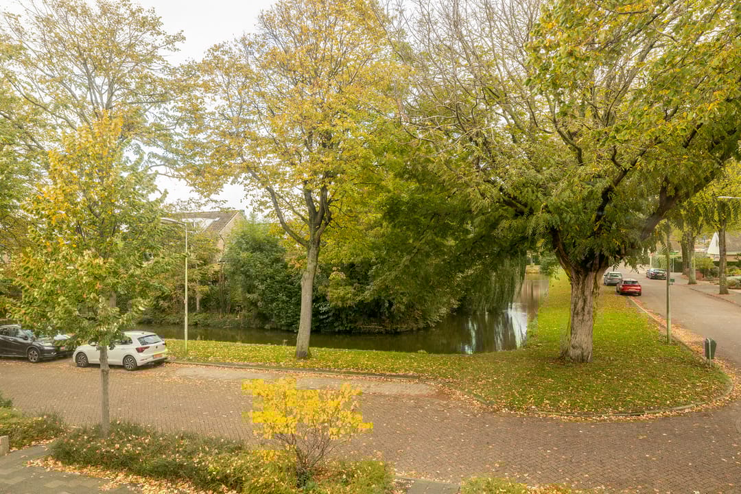 Foto 2 van Guldeland 99