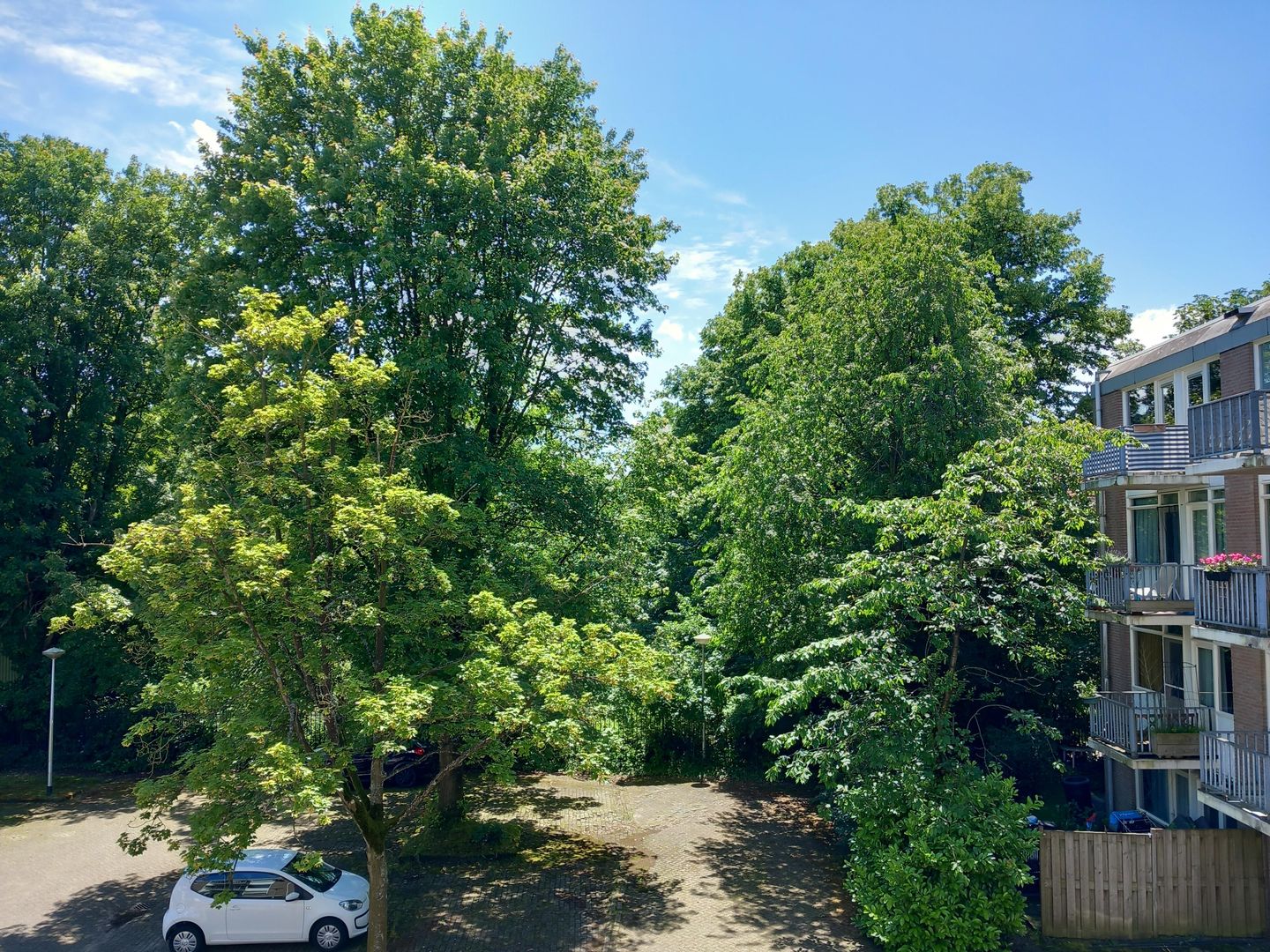 Photo 29 of Groenestraat 217-K