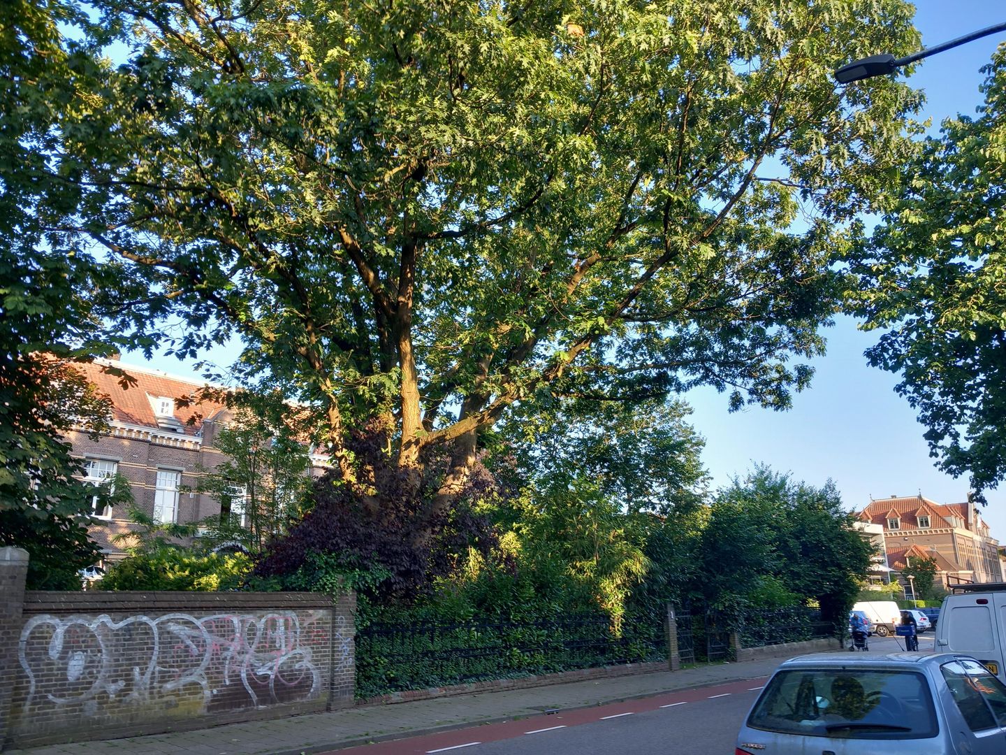 Photo 34 of Groenestraat 217-K