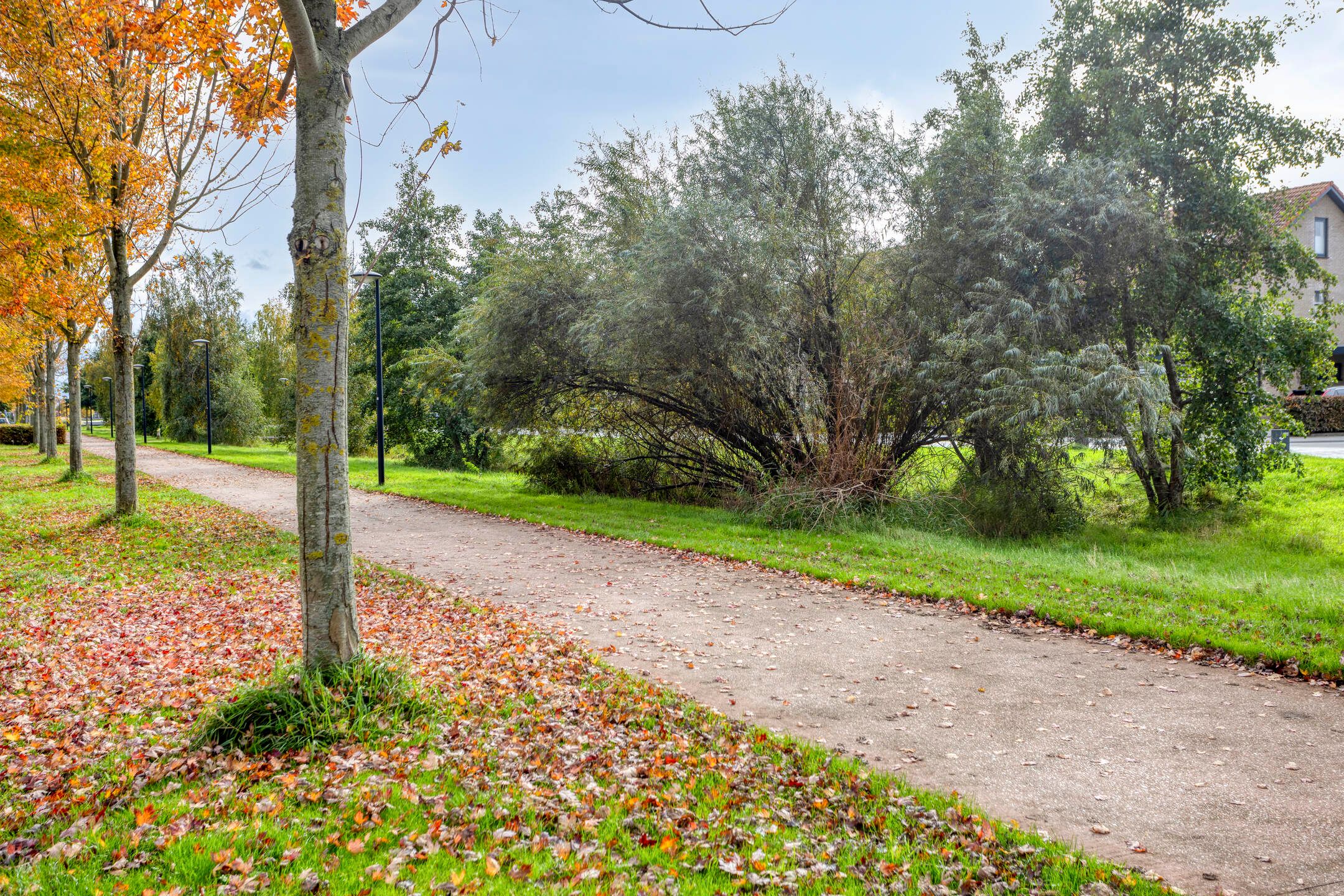 Photo 48 of Wijngaard 67