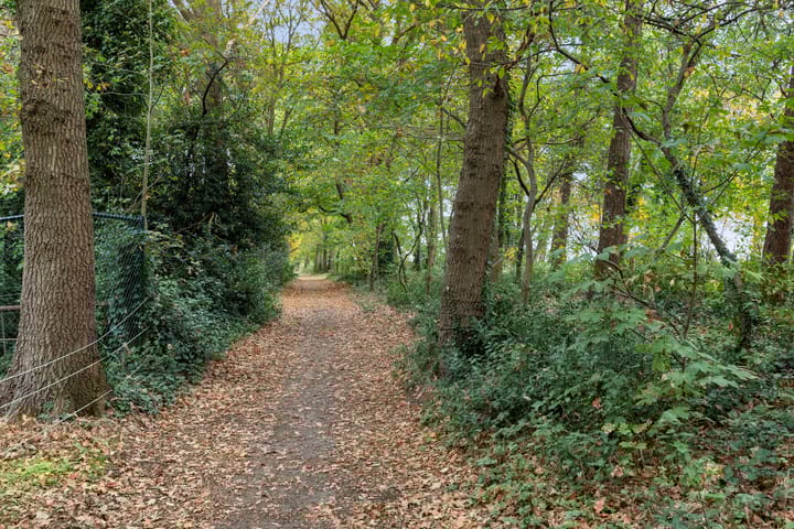 Foto 28 van Bergsebaan 50