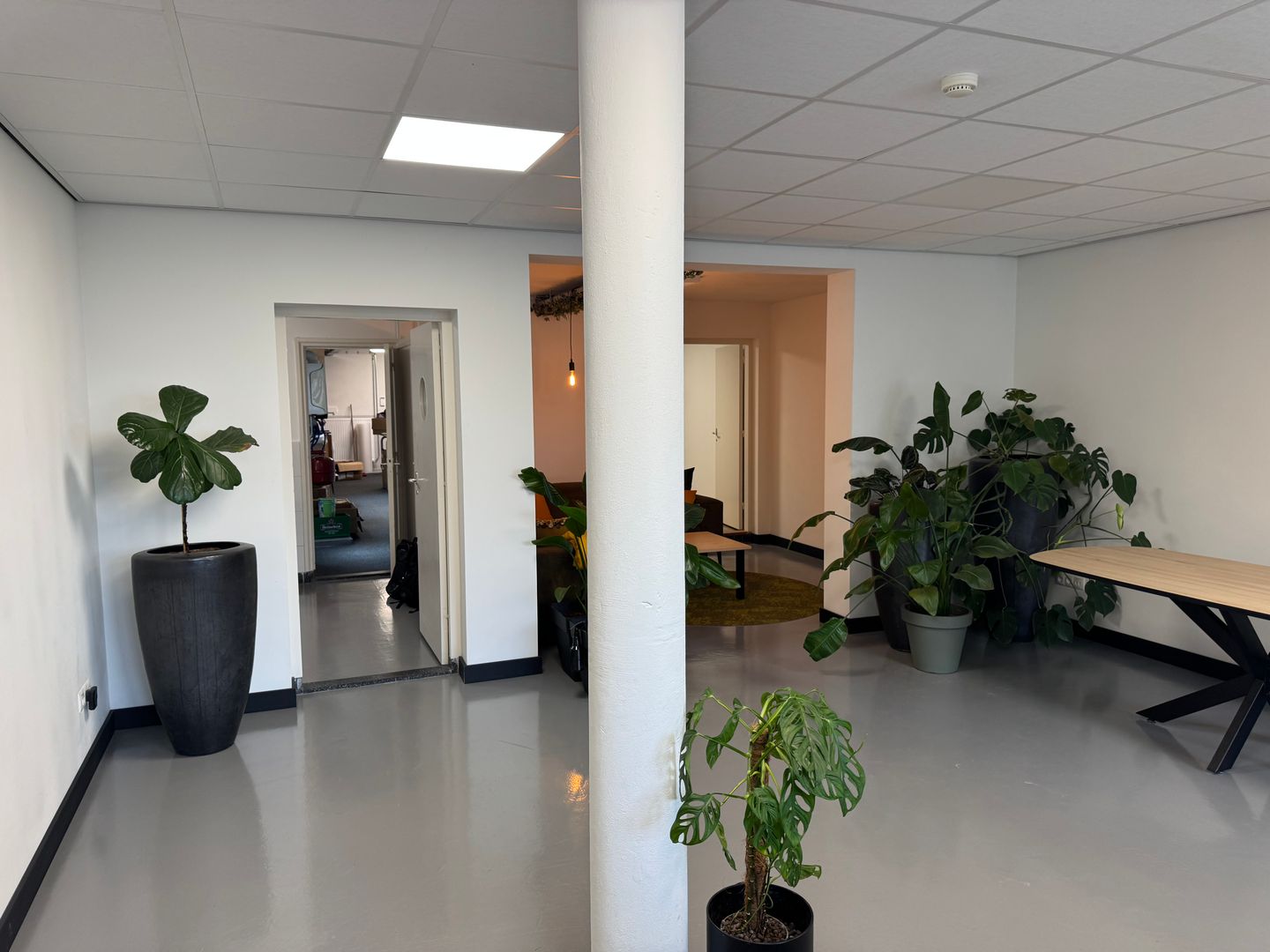 Bekijk foto 5 van Hooghout 56