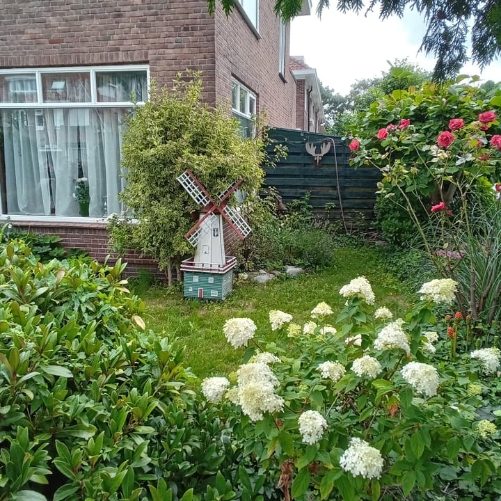 Foto 4 van Rijksstraatweg 47