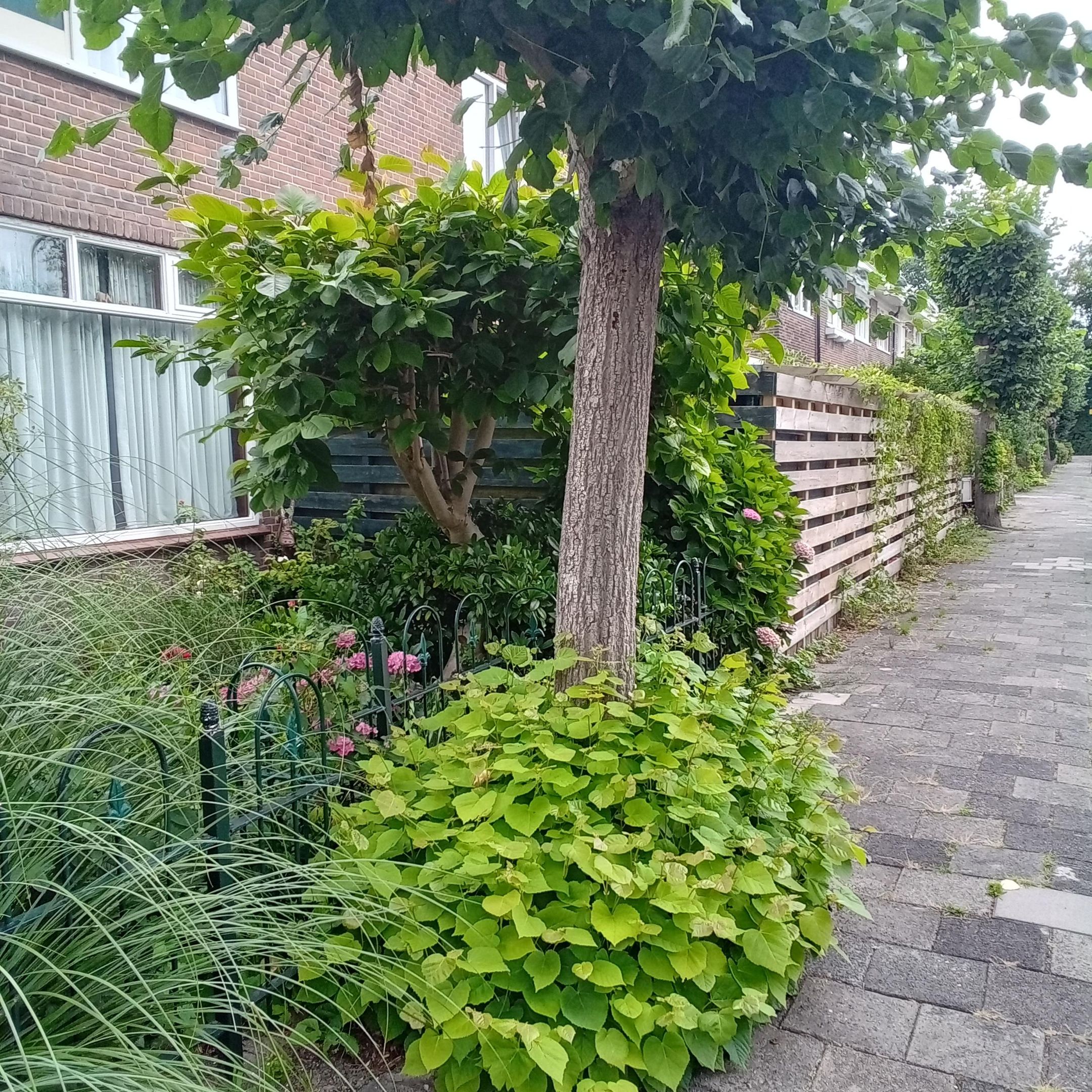 Foto 24 van Rijksstraatweg 47