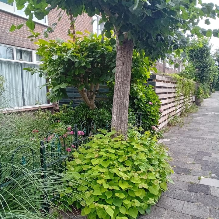 Foto 24 van Rijksstraatweg 47