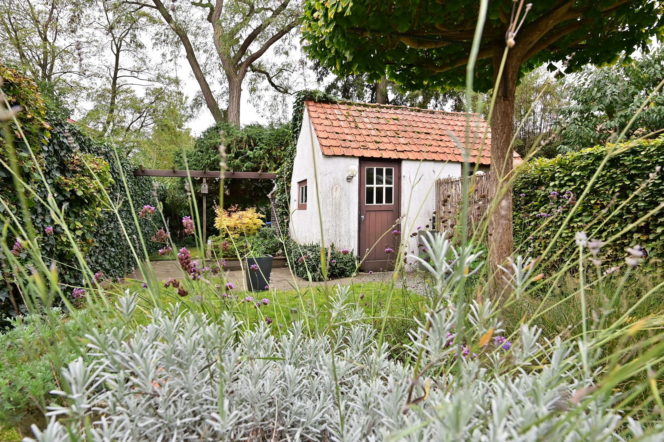 Foto 12 van Van Oldenbarneveltlaan 31