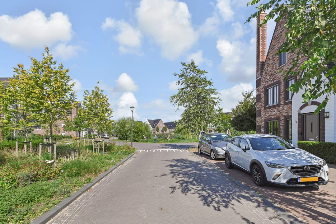 Foto 53 van Snoekbaars 4