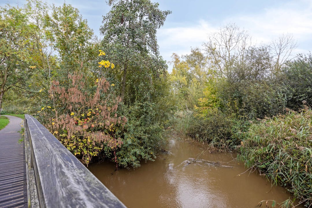 Foto 41 van Ziggenstraat 8